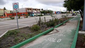 Lee más sobre el artículo Infraestructuras verdes y azules: la mejor forma de restaurar la naturaleza en La Paz