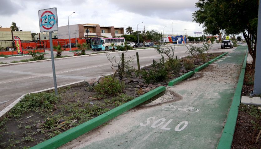 Infraestructuras verdes y azules: la mejor forma de restaurar la naturaleza en La Paz