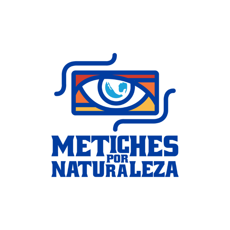 Logo Metiches por Naturaleza