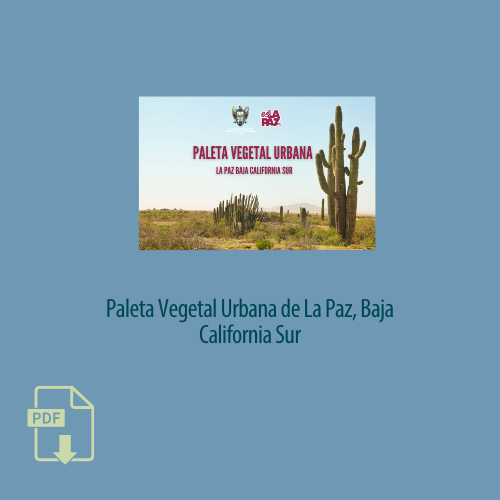 Botón Paleta Vegetal Urbana de La Paz Baja California Sur