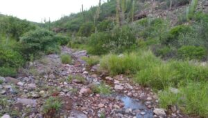 Lee más sobre el artículo La Paz debe reconciliarse con el curso natural del agua.