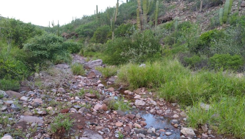 Arroyo en el Cerro de La Calavera, en La Paz, Baja California Sur.